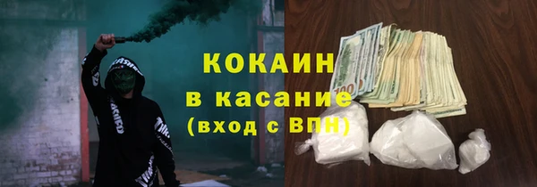 крисы Бронницы