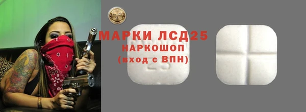 гидропоника Бородино