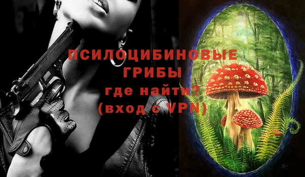 крисы Бронницы