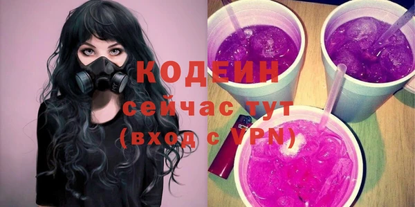 крисы Бронницы