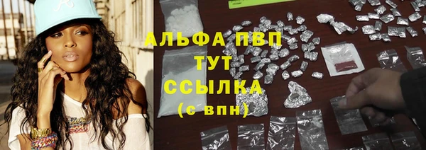 крисы Бронницы