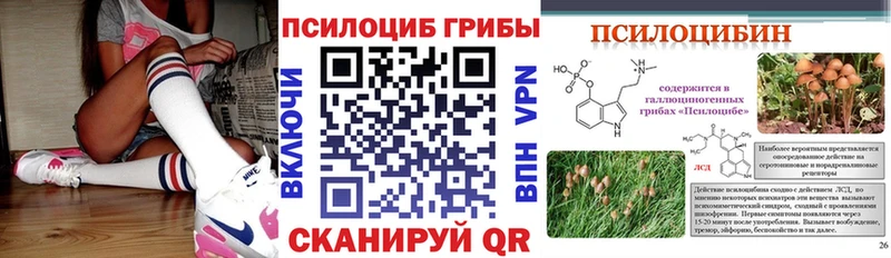 Псилоцибиновые грибы MAGIC MUSHROOMS  mega как зайти  Кимры  купить наркоту 