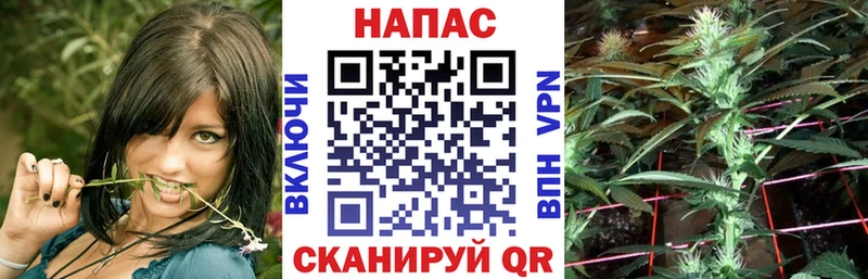 Шишки марихуана Bruce Banner  Кимры 